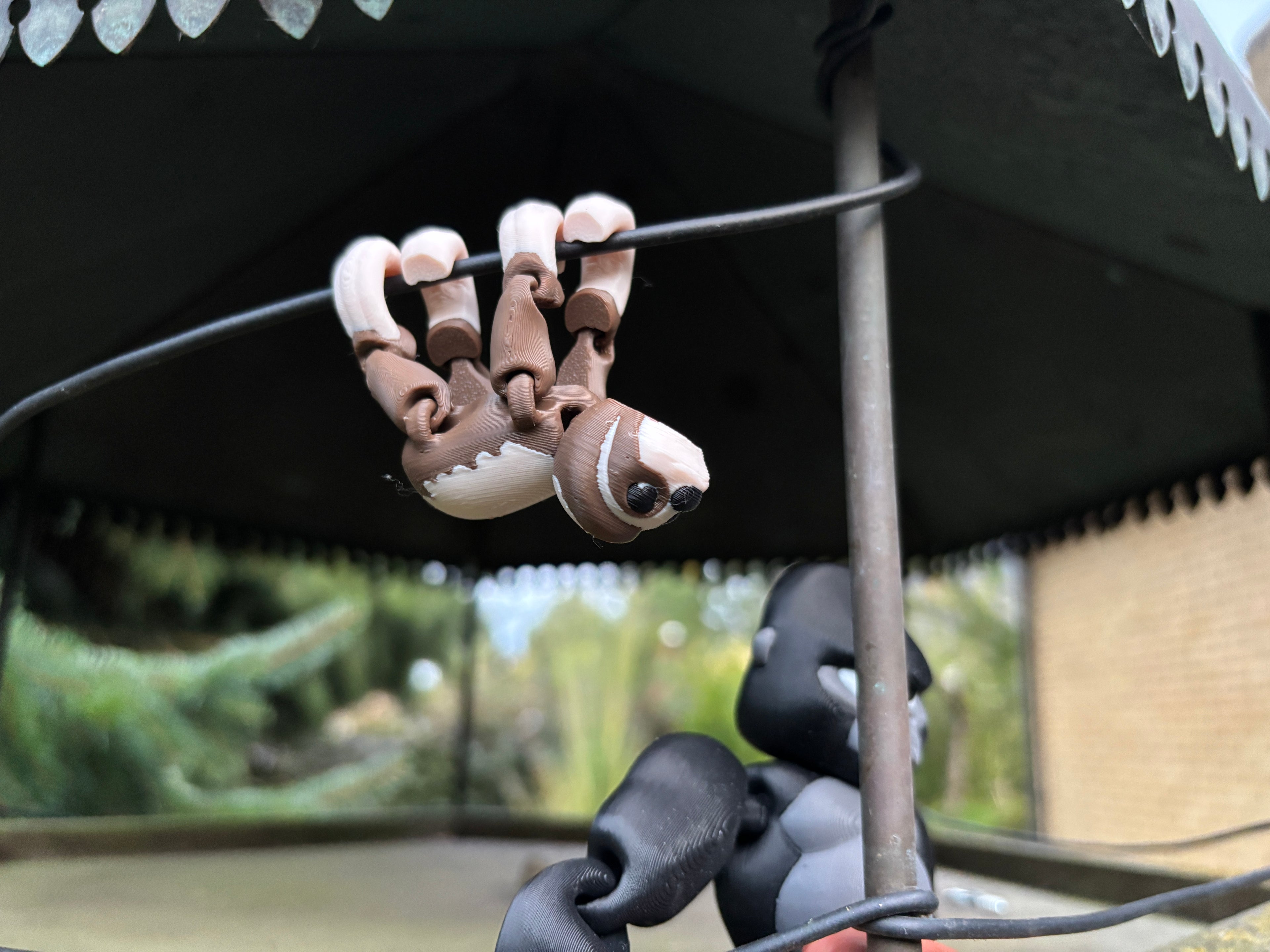 Mossy, Drømmehænger-dovendyret fra Den Hviskende Jungle