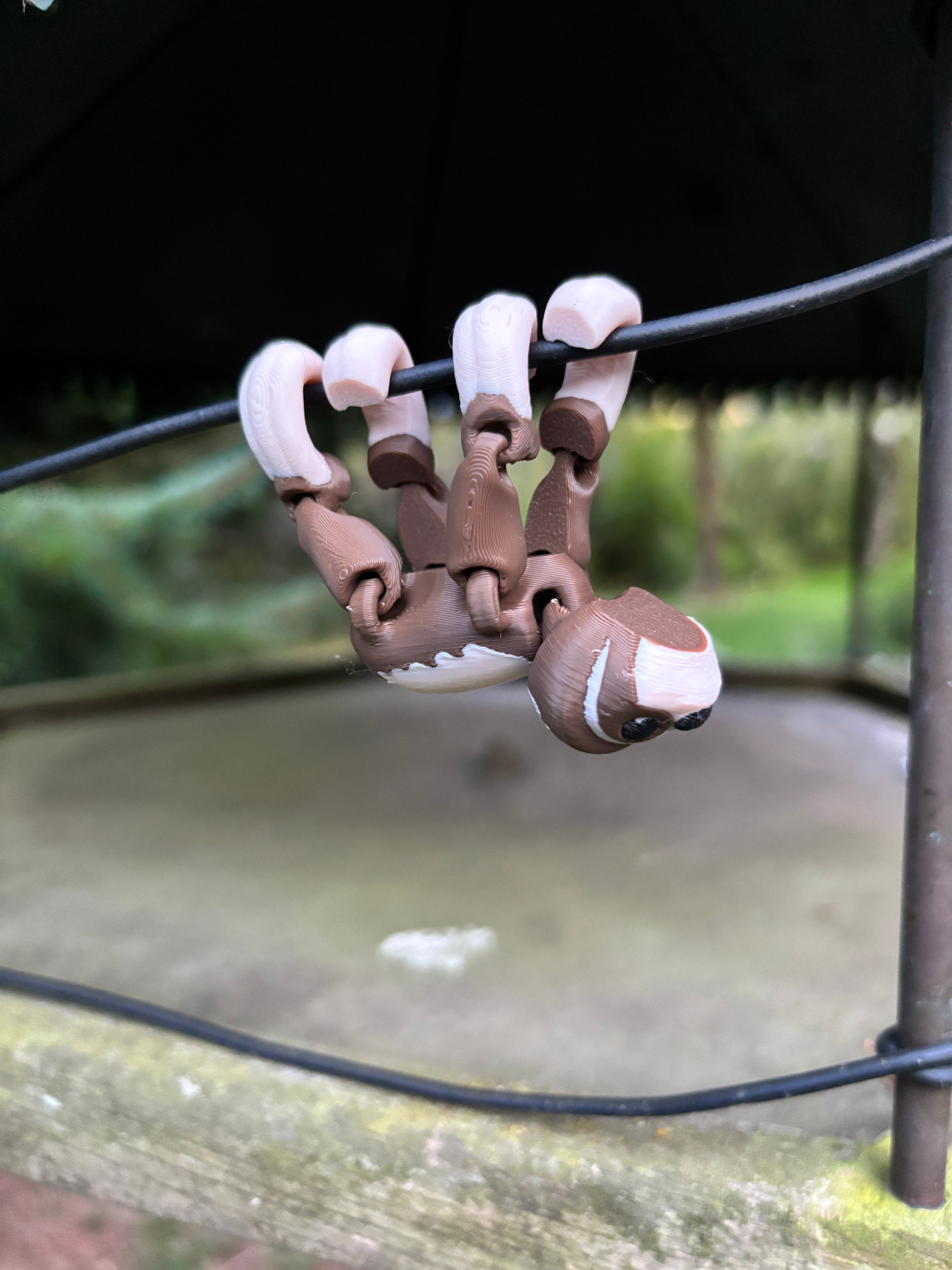 Mossy, Drømmehænger-dovendyret fra Den Hviskende Jungle