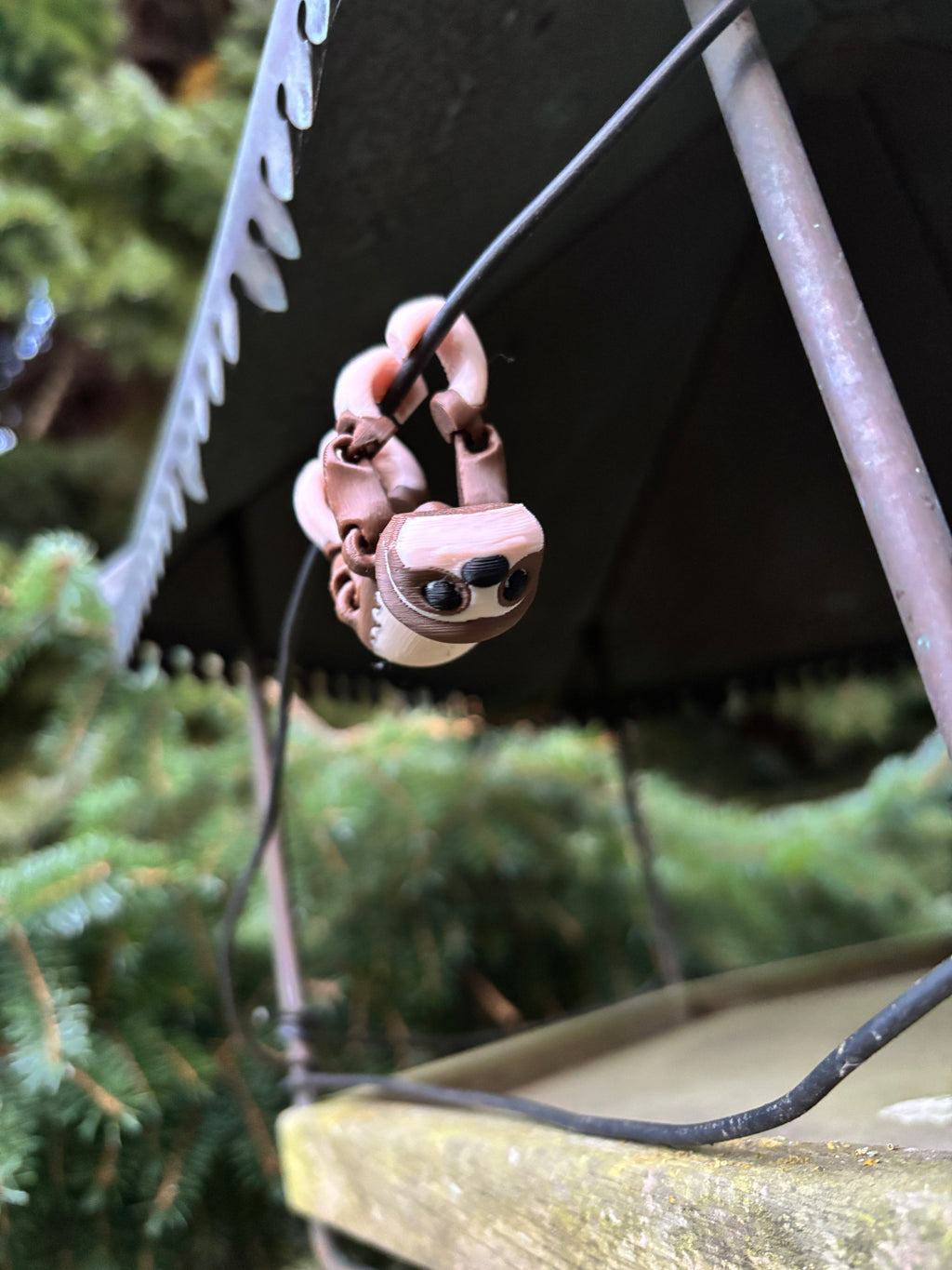 Mossy, Drømmehænger-dovendyret fra Den Hviskende Jungle