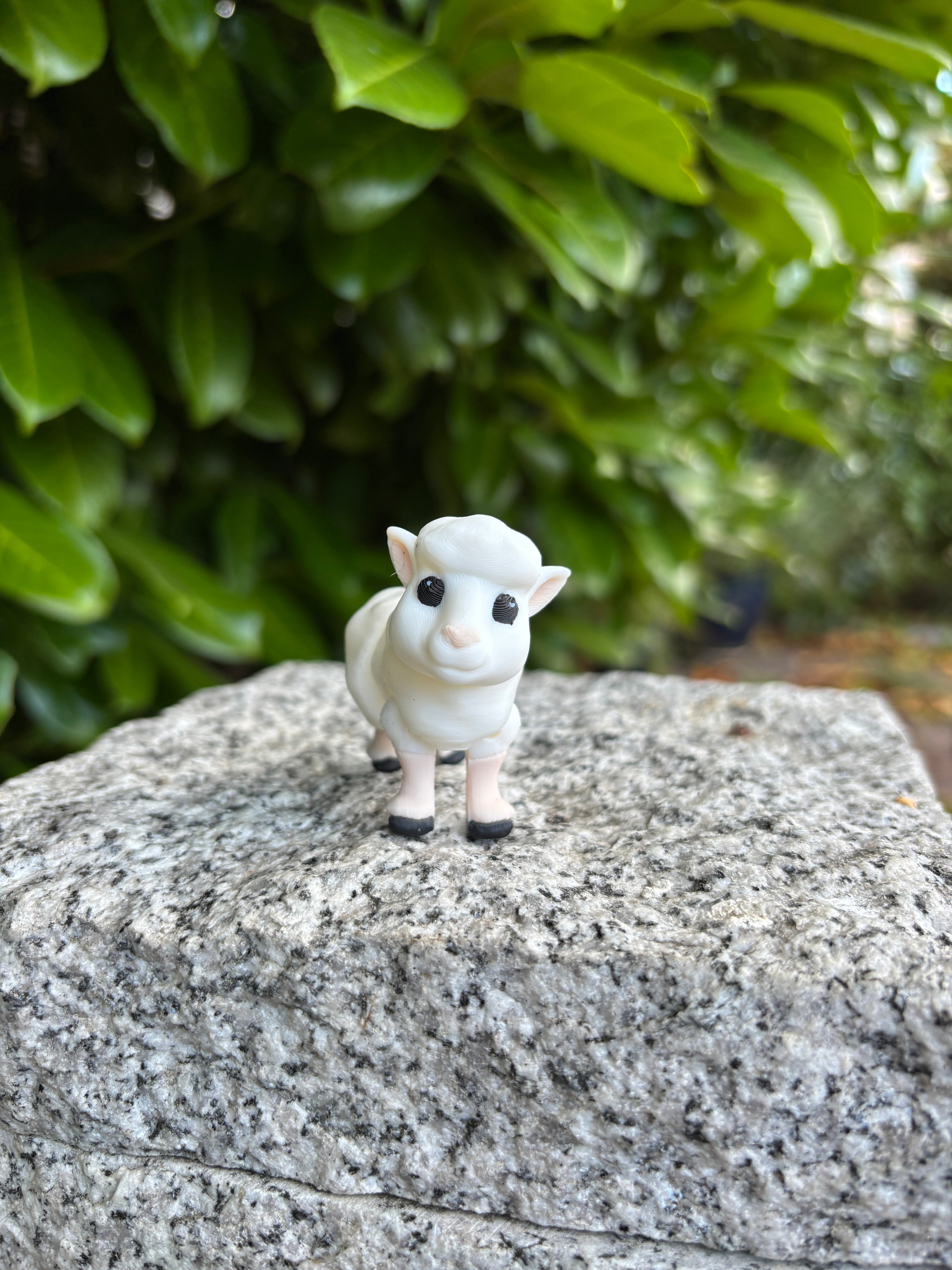 Lulu, Drømmelammet fra Måneskins Engen