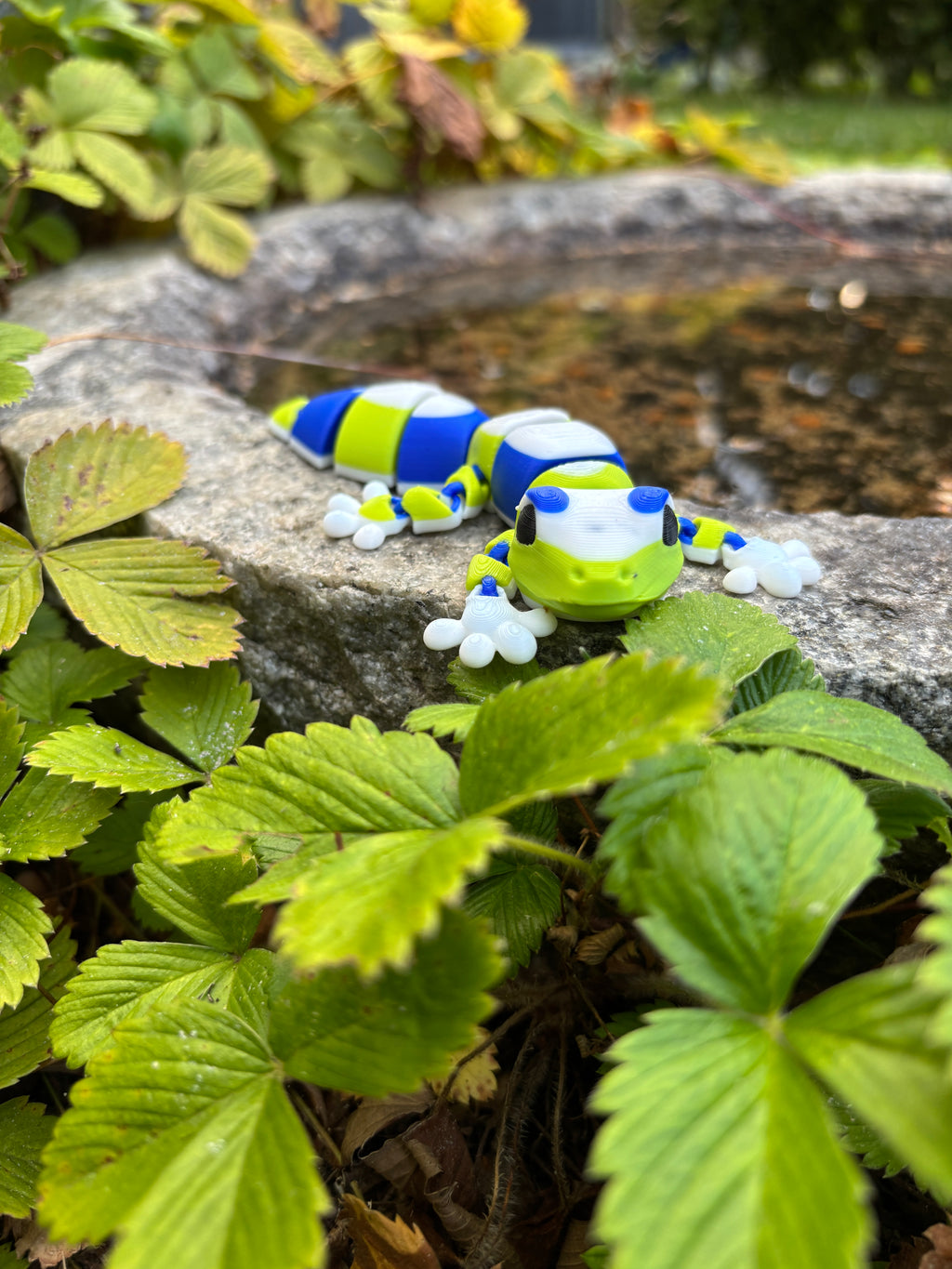 Zippy, Stribehalet Vidunder gekko fra Den Hviskende Jungle