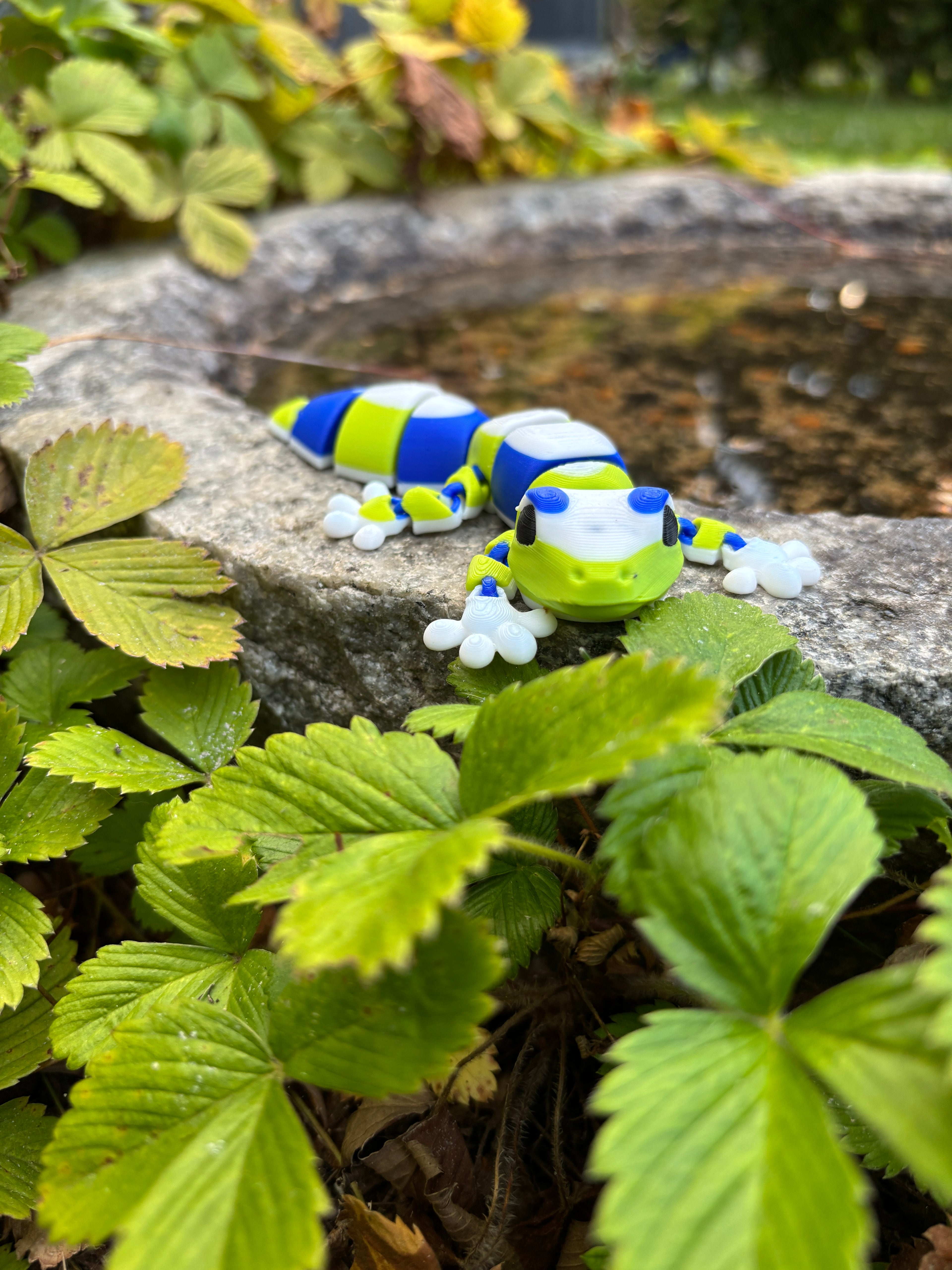 Zippy, Stribehalet Vidunder gekko fra Den Hviskende Jungle