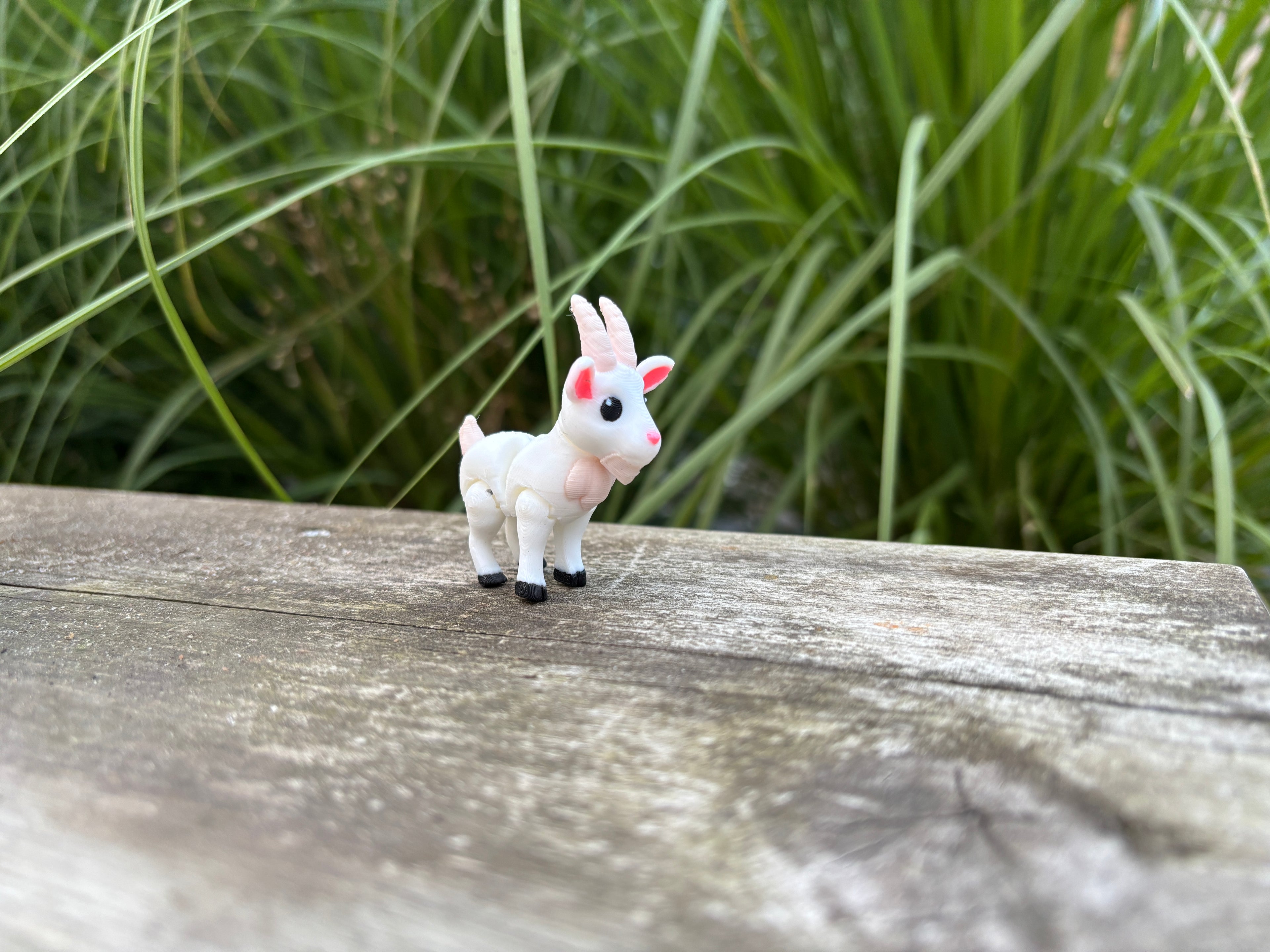 Gideon, Den Fnisende Bjergged fra Engbækken