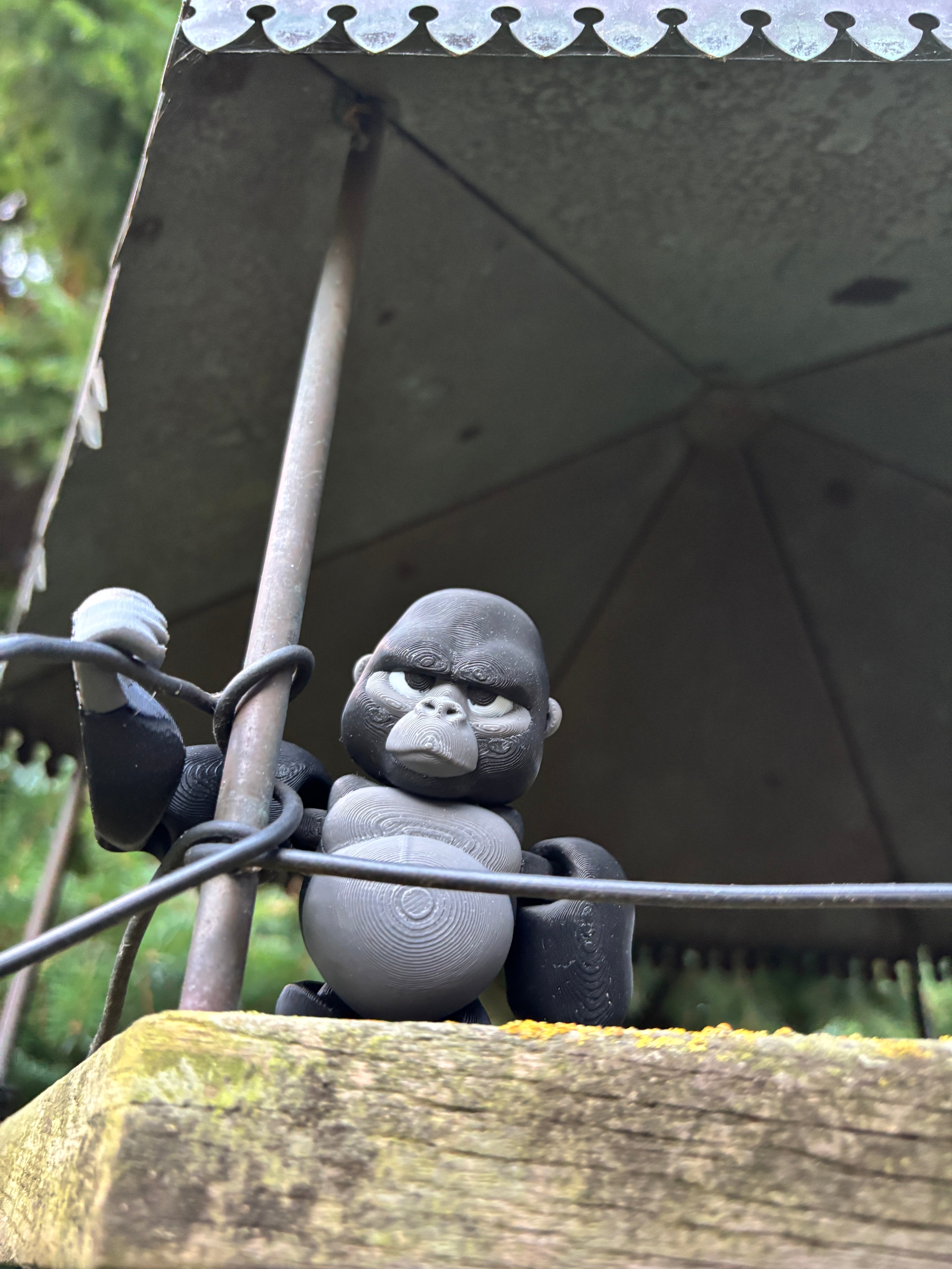 Grumble, Den Tavse Vogter fra Den Glemte Jungle