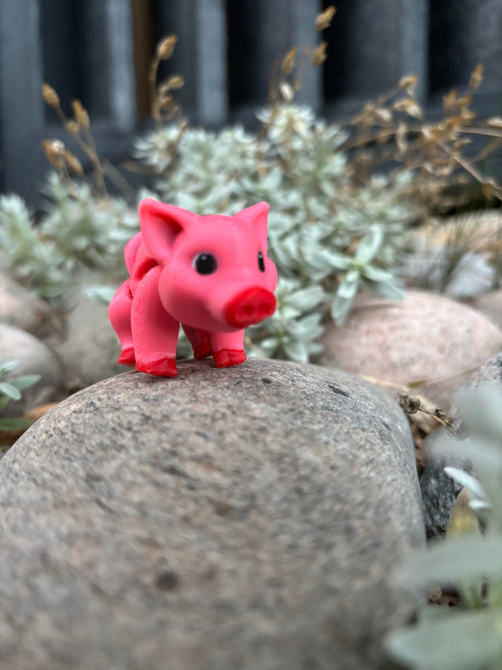 Percy, Den Pjattede Pjask-Gris fra Solstråle Gård