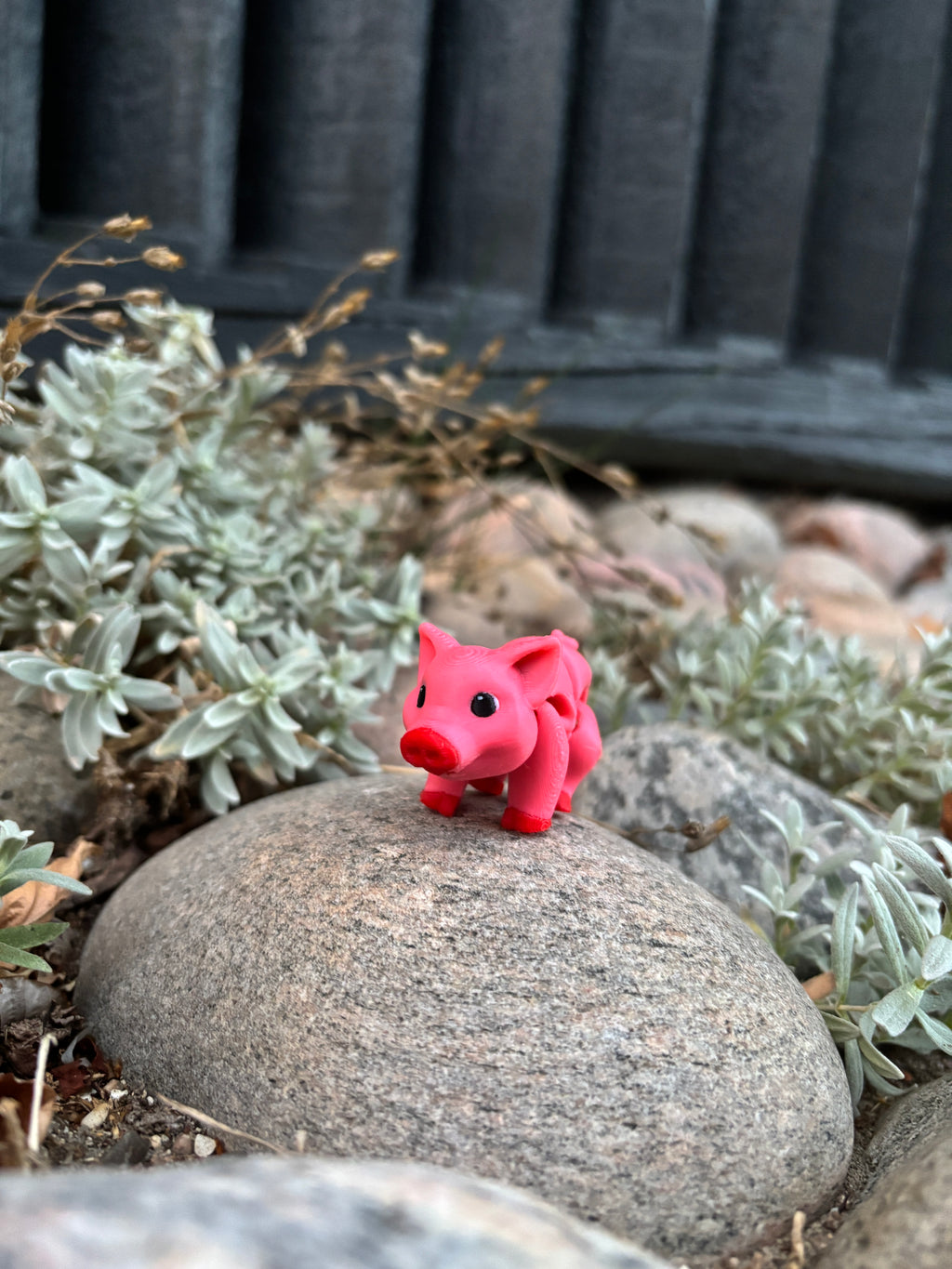 Percy, Den Pjattede Pjask-Gris fra Solstråle Gård