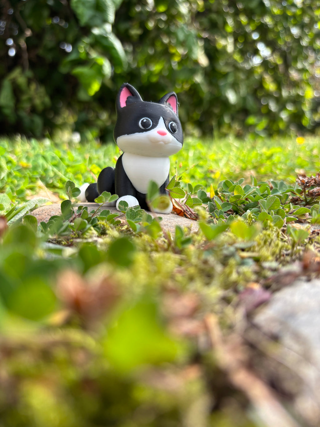 Mittens, Midnatsbibliotekets Kat fra Whimsey’s Vindue