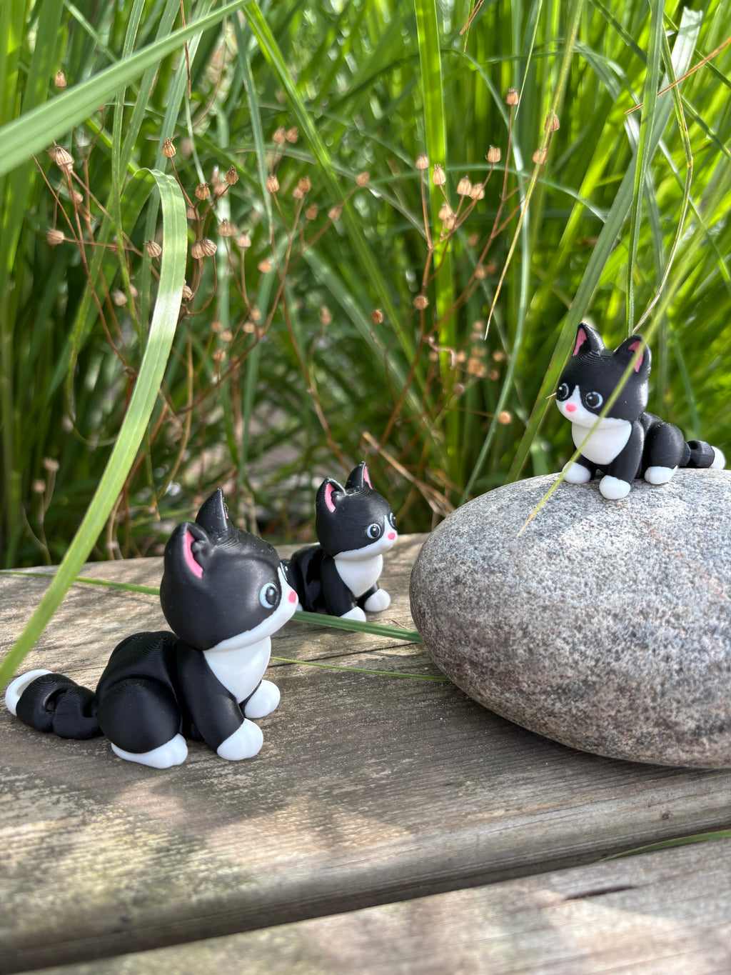 Mittens, Midnatsbibliotekets Kat fra Whimsey’s Vindue