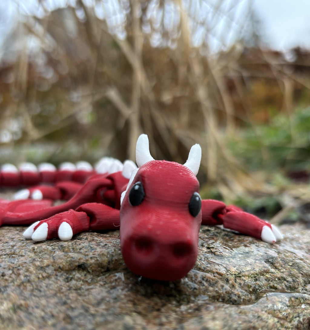 Tåge Tårnets Magiske Drager – Glimmersvinge, Ildslipse, Dugdanser & Sprigglekams