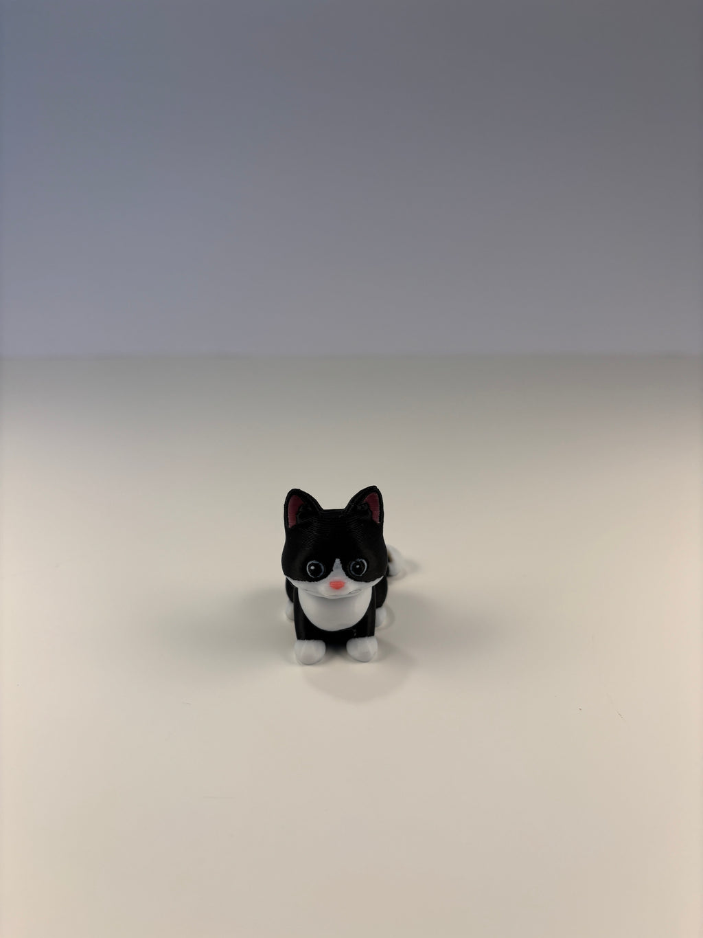 Mittens, Midnatsbibliotekets Kat fra Whimsey’s Vindue