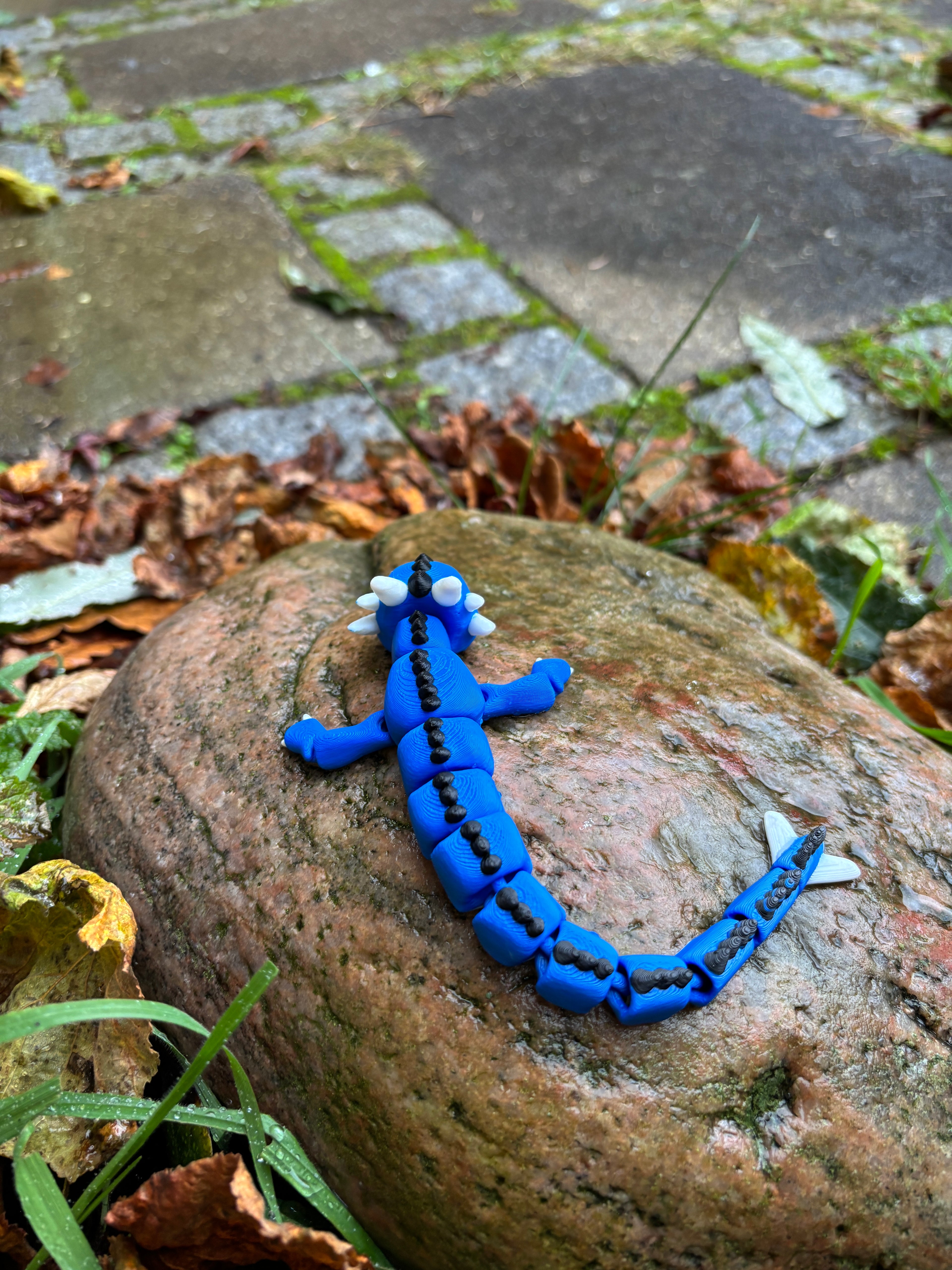 Drageungerne fra Tåge Tårnet – Bobleput Snirkehale, Gnistre Pip Flammestump, Tusluna Drømmestråle & Spirekvist Bladkrøl