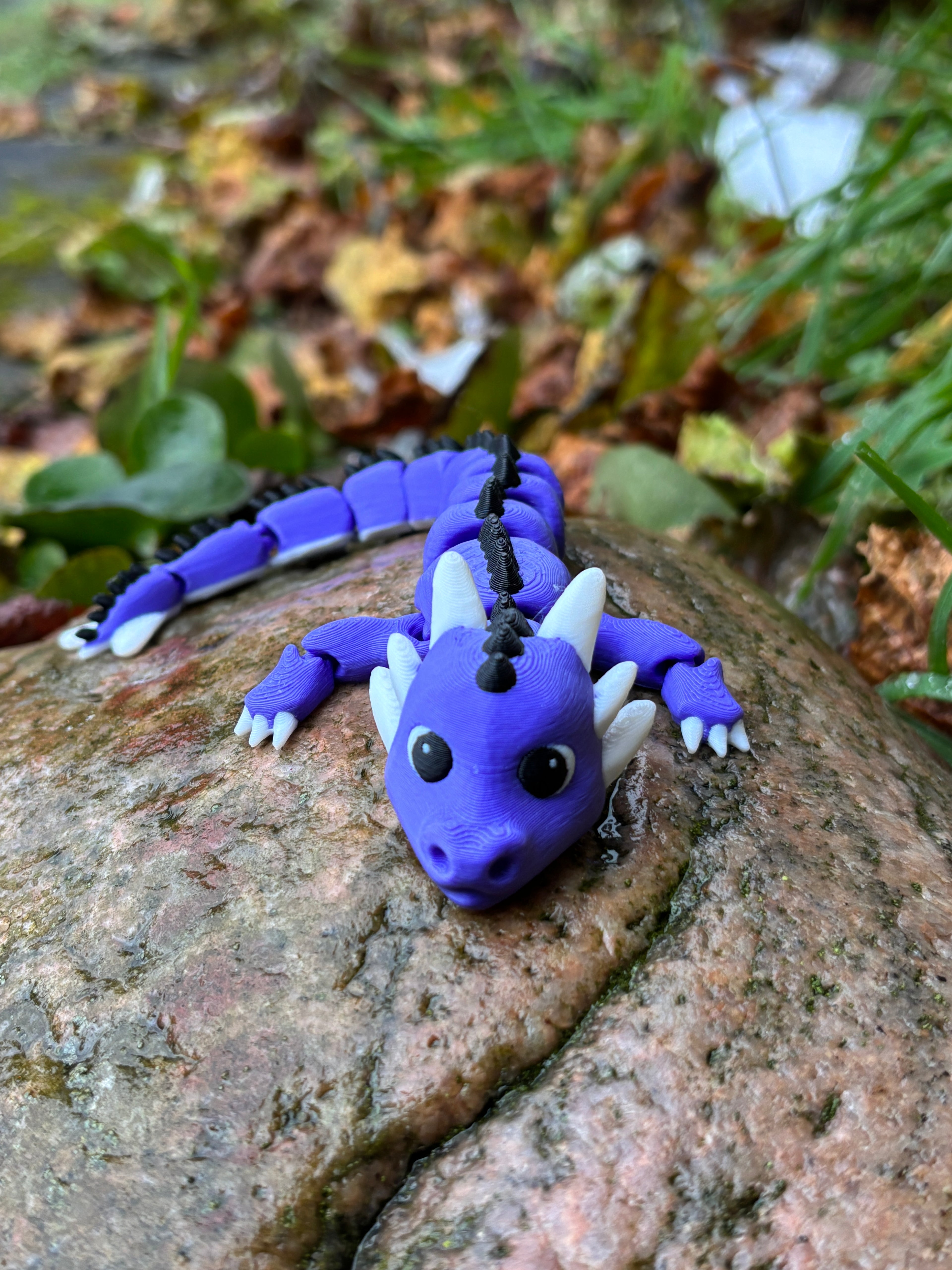 Drageungerne fra Tåge Tårnet – Bobleput Snirkehale, Gnistre Pip Flammestump, Tusluna Drømmestråle & Spirekvist Bladkrøl