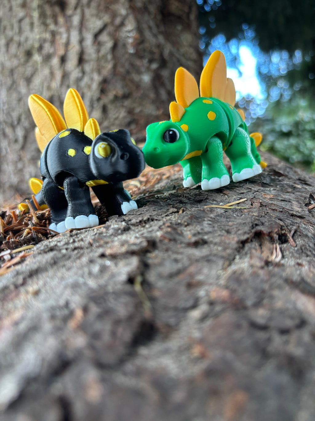 Sunny & Shadow, Spidshale-Stegoerne fra Glimmerbregne-skoven