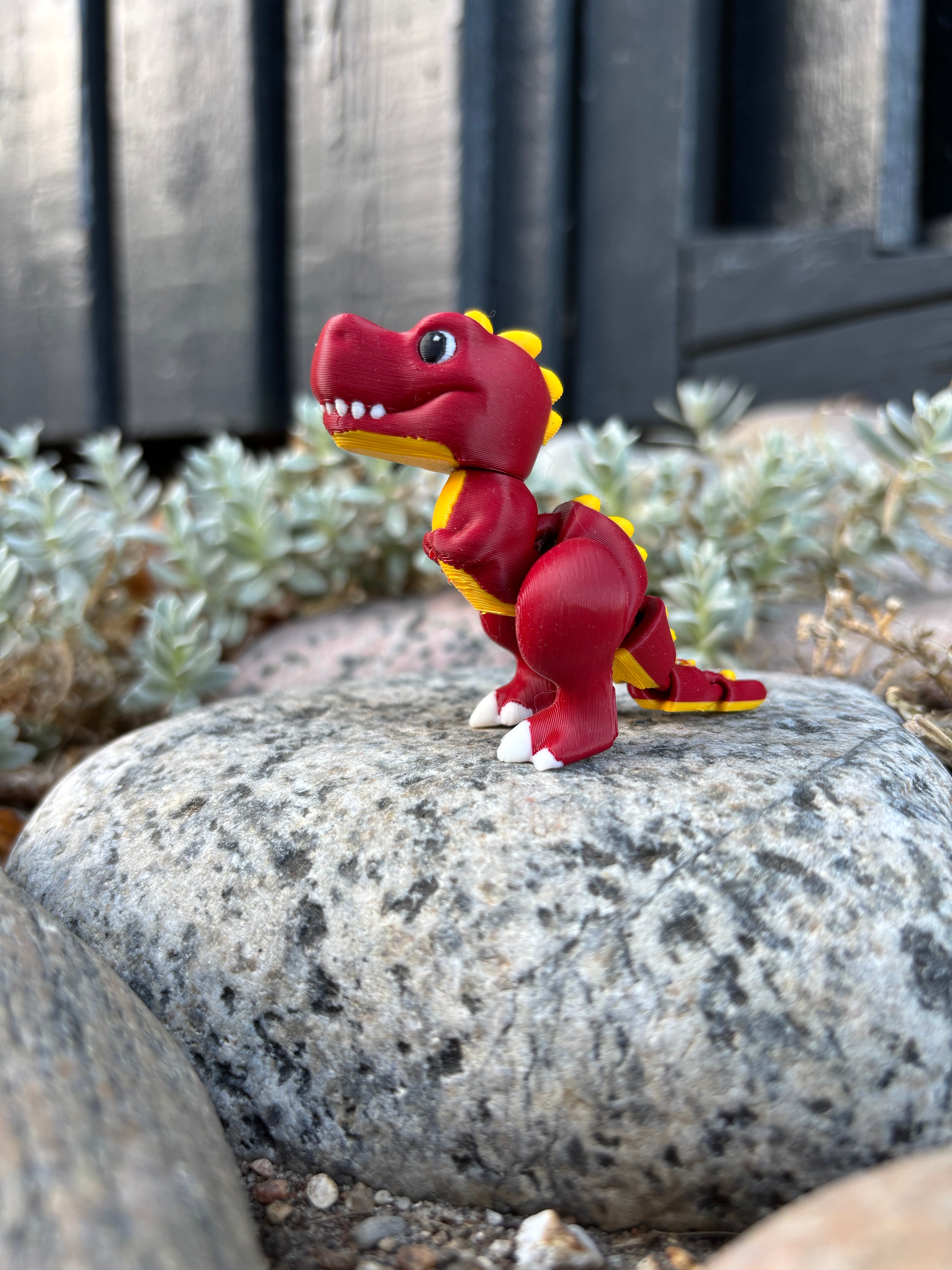 Rexley, Den Brølende Røde Raket fra Djærv Klit