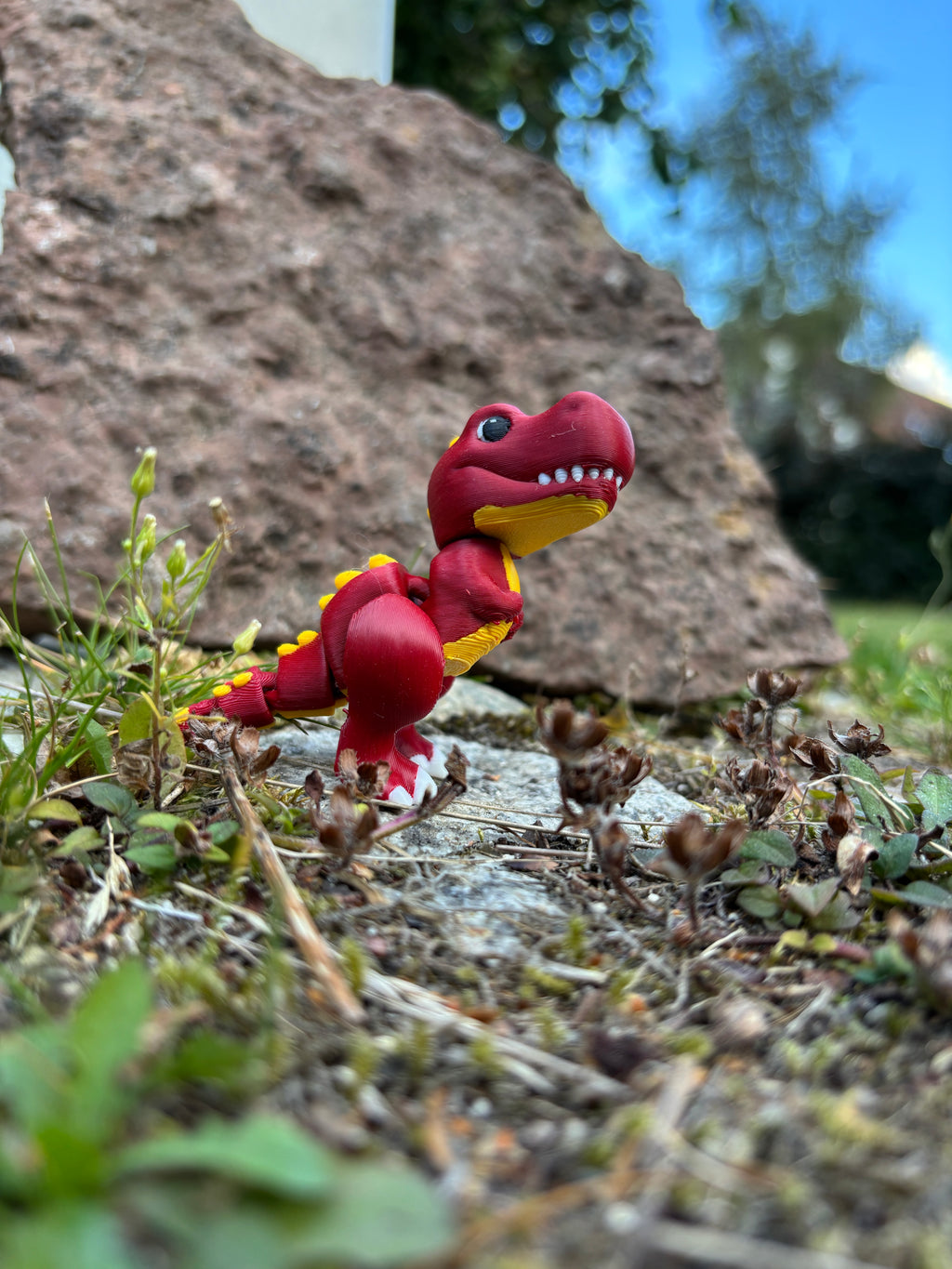 Rexley, Den Brølende Røde Raket fra Djærv Klit