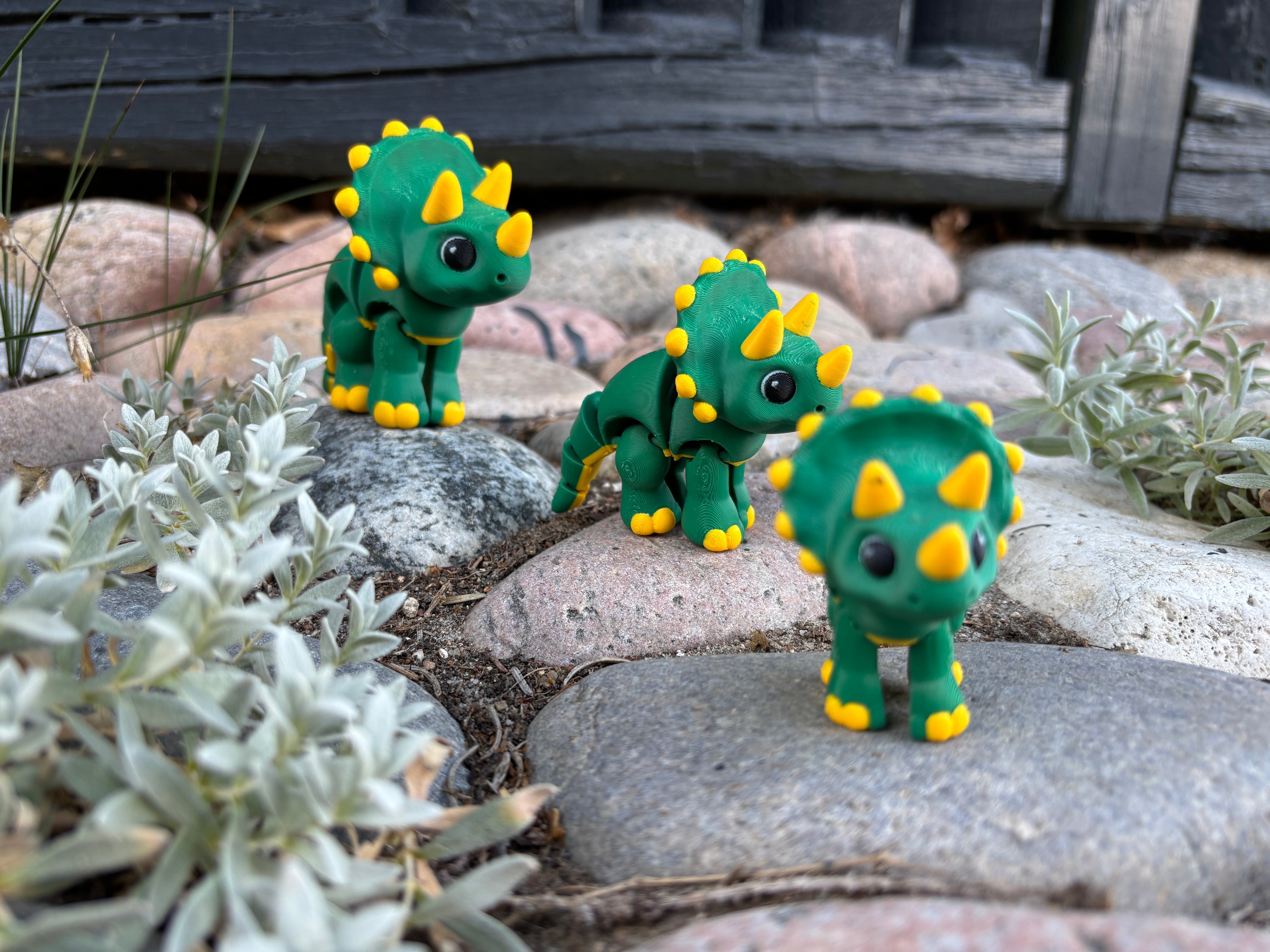 Fnise-Toppens Triceratops-Trio fra Fniseknogle-Dalen